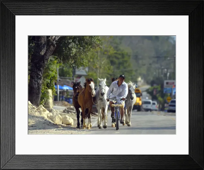 Framed Print : Man on bike leads horses along a road in Peten, Mundo Maya, Guatemala, Central America