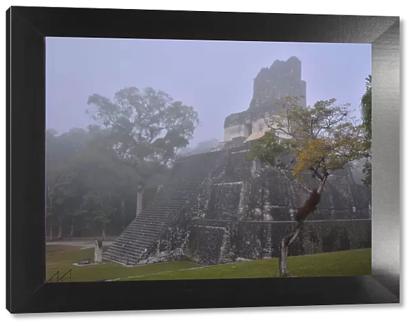 Maya Archaeologial Site Tikal, Tikal National Park, Peten, Mundo Maya, Guatemala