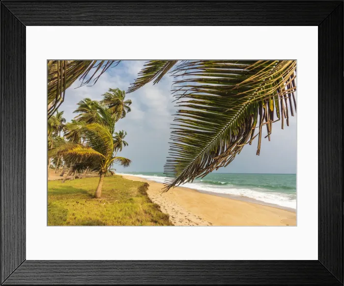 Framed Print : Africa, Ghana, Elmina. Ampenyi. The beach with the coconut palm grove Framed Print : Africa, Ghana, Elmina. Ampenyi. The beach with the coconut palm grove