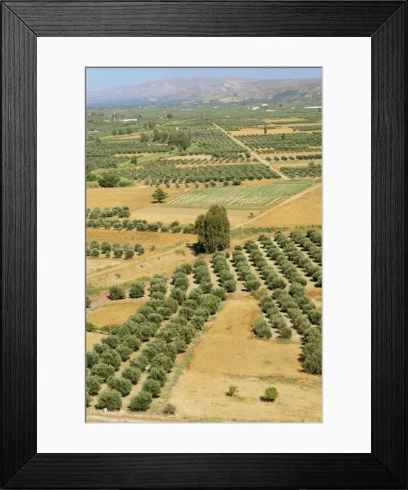 Framed Print : Festos Minoian Palace, Crete, Greece, Europe Framed Print : Festos Minoian Palace, Crete, Greece, Europe