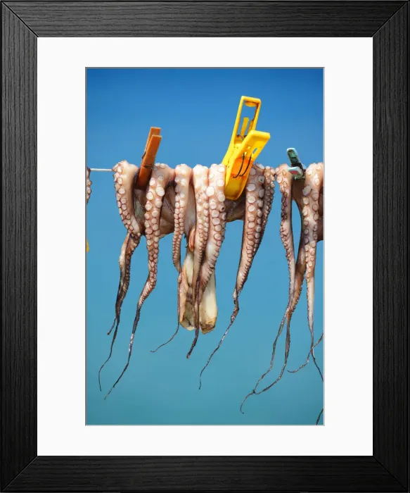 Framed Print : Octopus drying in the sun, Plaka, Crete, Greece, Europe Framed Print : Octopus drying in the sun, Plaka, Crete, Greece, Europe