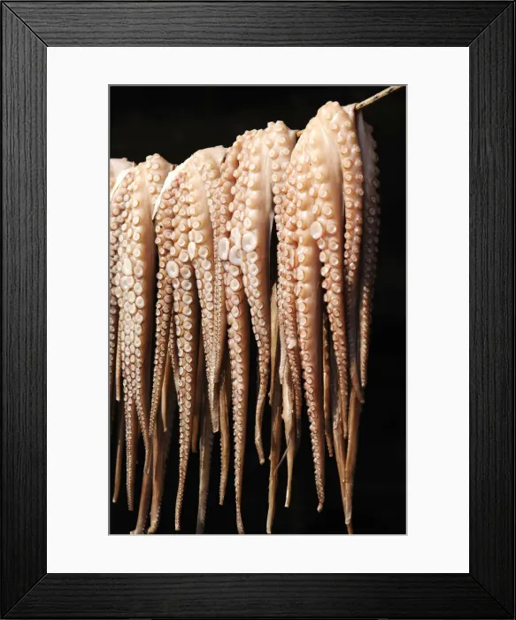 Framed Print : Octopus, Naxos, Cyclades, Greece Framed Print : Octopus, Naxos, Cyclades, Greece