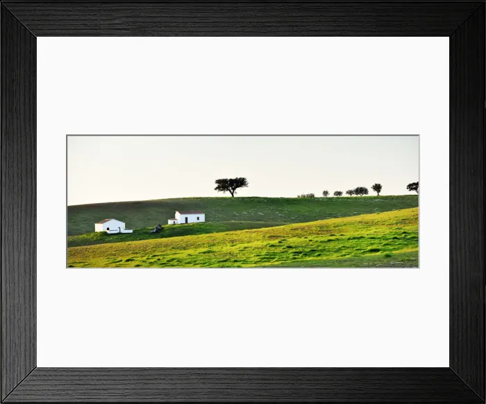 Framed Print : Cork trees in Alentejo, Portugal Framed Print : Cork trees in Alentejo, Portugal