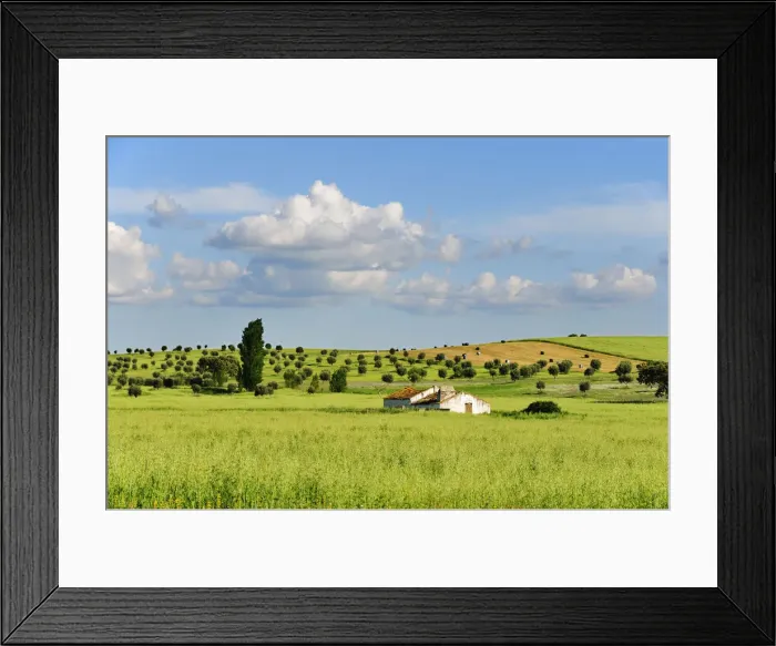 Framed Print : A farm in the vast plains of Alentejo, Portugal Framed Print : A farm in the vast plains of Alentejo, Portugal
