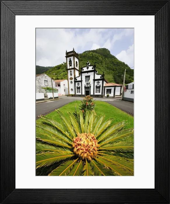 Framed Print : Palm tree and motherchurch at Faial da Terra. Sao Miguel, Azores islands, Portugal Framed Print : Palm tree and motherchurch at Faial da Terra. Sao Miguel, Azores islands, Portugal