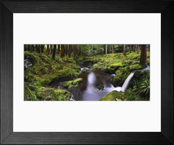 Framed Print : Brook at the Lagoa das Patas Nature Reserve. Terceira, Azores islands, Portugal