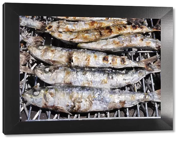 Grilled sardines, one of the delights of Setubal. Portugal
