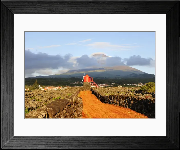 Framed Print : Vineyards inside lava walls at Criacao Velha Framed Print : Vineyards inside lava walls at Criacao Velha