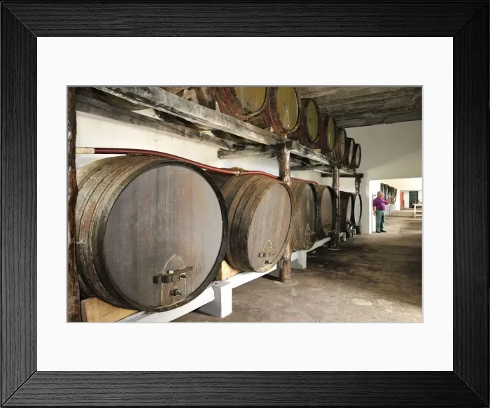 Framed Print : Terra do Conde cellars. Santa Cruz, Graciosa, Azores islands, Portugal Framed Print : Terra do Conde cellars. Santa Cruz, Graciosa, Azores islands, Portugal