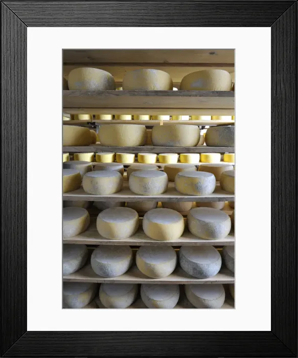 Framed Print : Canada, manufacturing house of the famous Sao Jorge traditional cheese, Santo Amaro Framed Print : Canada, manufacturing house of the famous Sao Jorge traditional cheese, Santo Amaro