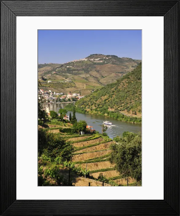 Framed Print : Terraced vineyards in the Douro region, a Unesco World heritage site. Portugal Framed Print : Terraced vineyards in the Douro region, a Unesco World heritage site. Portugal