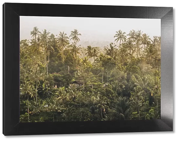 Tropical vegetation in Sidemen valley, Rendang, Karangasem Regency, Bali, Indonesia
