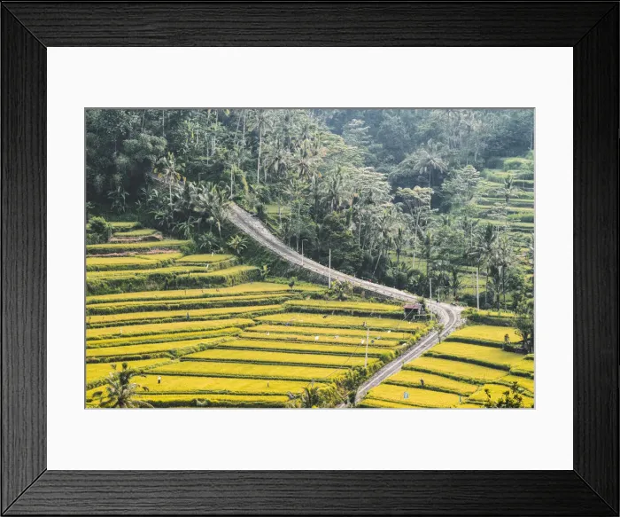 Framed Print : Paddy fields in Sidemen valley, Rendang, Karangasem Regency, Bali, Indonesia Framed Print : Paddy fields in Sidemen valley, Rendang, Karangasem Regency, Bali, Indonesia