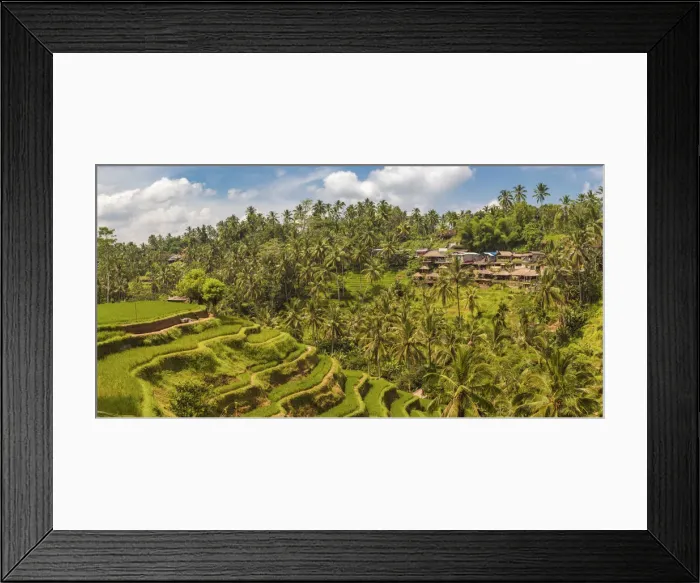 Framed Print : Bali, Indonesia, South East Asia. Panoramic view of the rice paddy at the Tegalalang Framed Print : Bali, Indonesia, South East Asia. Panoramic view of the rice paddy at the Tegalalang