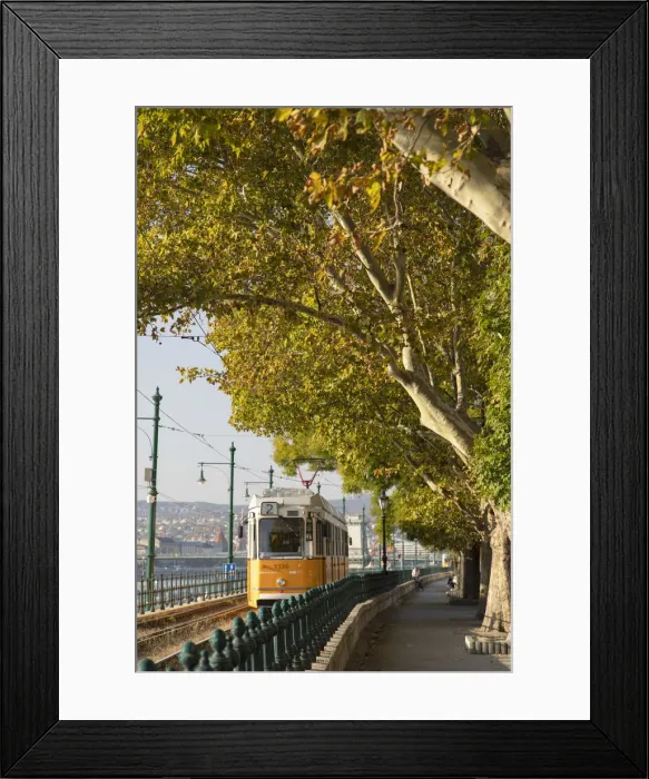 Framed Print : Tram passing along Danube Promenade, Budapest, Hungary Framed Print : Tram passing along Danube Promenade, Budapest, Hungary