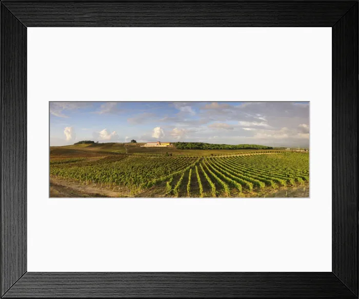 Framed Print : Vineyards and Adega Campolargo at Bairrada wine region. Sao Lourenco do Bairro, Portugal Framed Print : Vineyards and Adega Campolargo at Bairrada wine region. Sao Lourenco do Bairro, Portugal