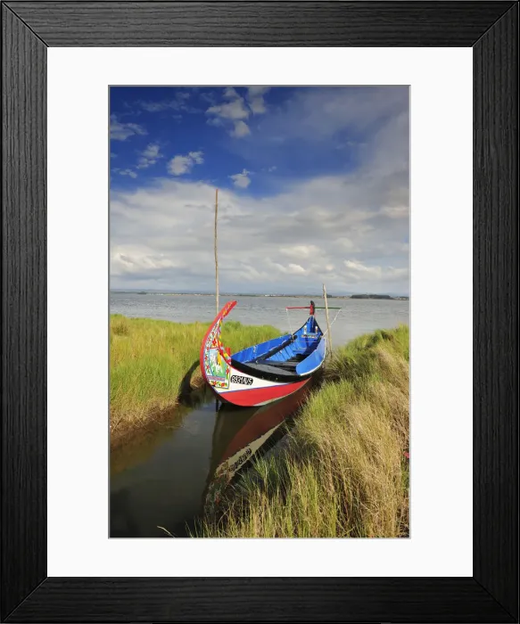 Framed Print : Moliceiro, a traditional boat in the Aveiro river. Portugal Framed Print : Moliceiro, a traditional boat in the Aveiro river. Portugal