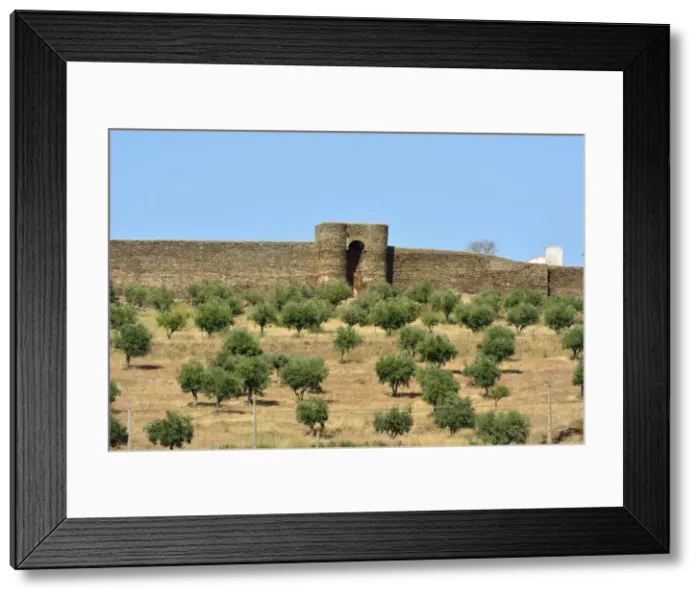 Framed Print : Veiros medieval castle. Alentejo, Portugal