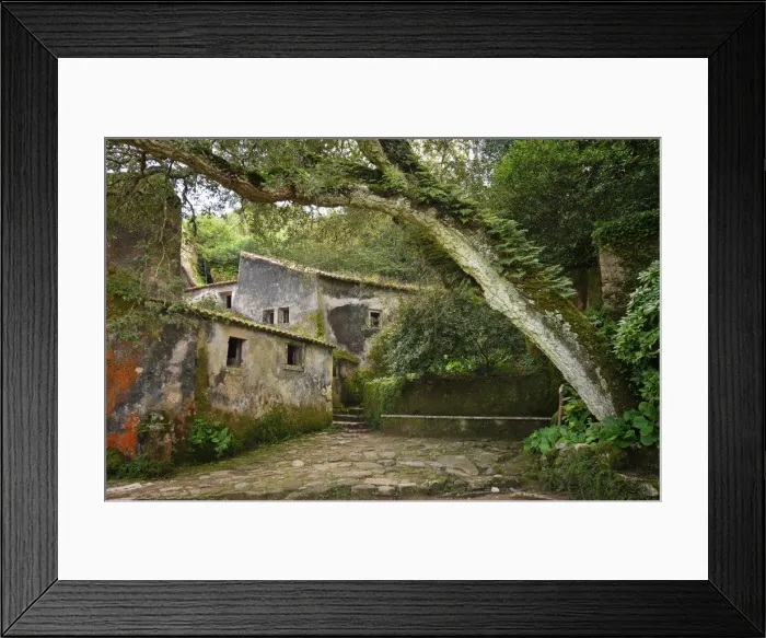 Framed Print : Convent of the Capuchos, dating back to the 16th century, in the middle of the Sintra Framed Print : Convent of the Capuchos, dating back to the 16th century, in the middle of the Sintra