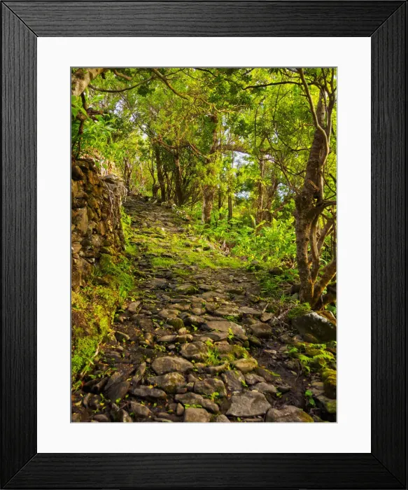 Framed Print : Portugal, Azores, Flores, Old Trail between Mosteiro and Lajedo Framed Print : Portugal, Azores, Flores, Old Trail between Mosteiro and Lajedo