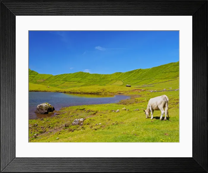 Framed Print : Portugal, Azores, Corvo, View of The Caldeirao do Corvo Framed Print : Portugal, Azores, Corvo, View of The Caldeirao do Corvo