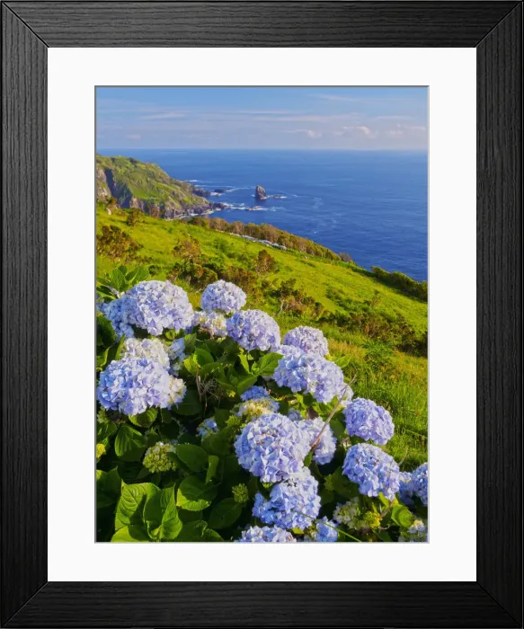 Framed Print : Portugal, Azores, Flores, View of the coast near Lajedo village Framed Print : Portugal, Azores, Flores, View of the coast near Lajedo village