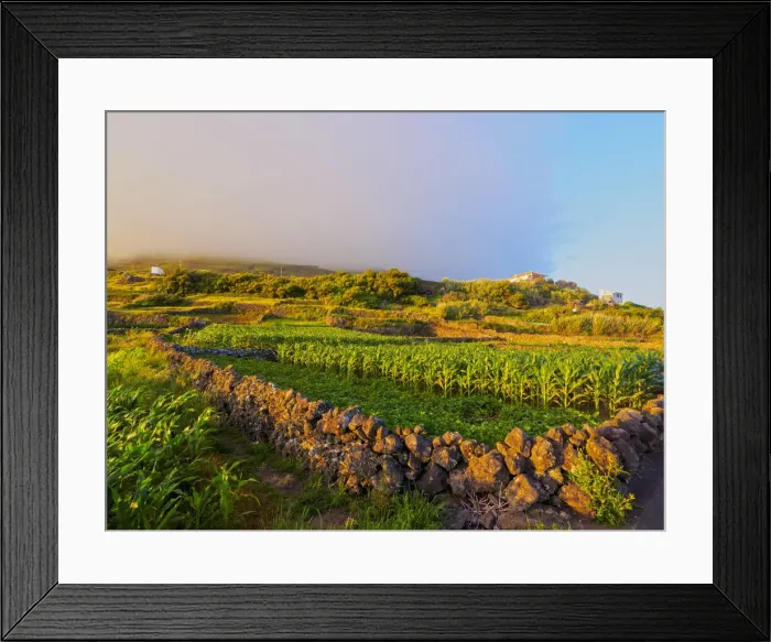 Framed Print : Portugal, Azores, Corvo, Fields near Vila do Corvo