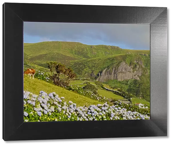 Portugal, Azores, Flores, Landscape of the island with Rocha dos Bordoes