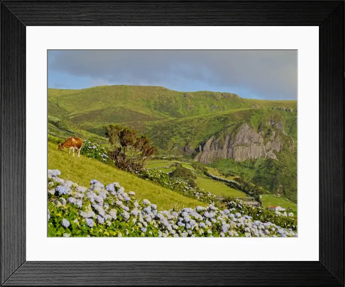 Framed Print : Portugal, Azores, Flores, Landscape of the island with Rocha dos Bordoes
