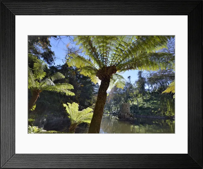 Framed Print : The Valley of the Lakes (Vale dos Lagos) in the Pena forest above Sintra Framed Print : The Valley of the Lakes (Vale dos Lagos) in the Pena forest above Sintra