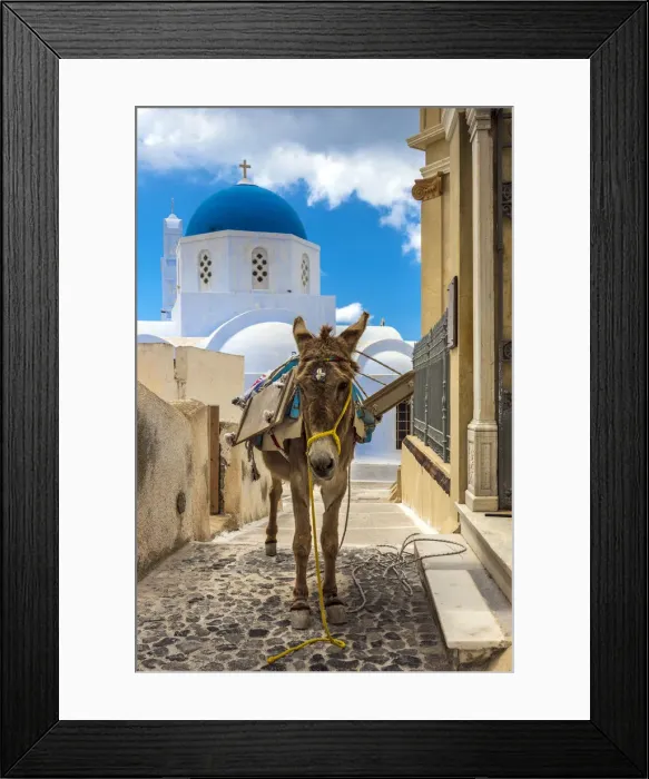 Framed Print : Donkey with typical Greek Orthodox church with blue dome in the background, Pyrgos