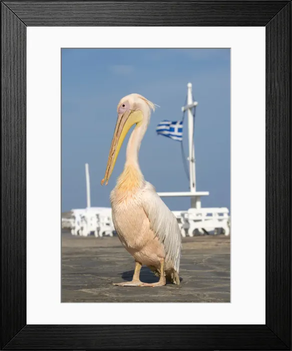 Framed Print : Europe, Greece, Cyklades, Mykonos, part of the Cyclades island group in the Aegean Sea