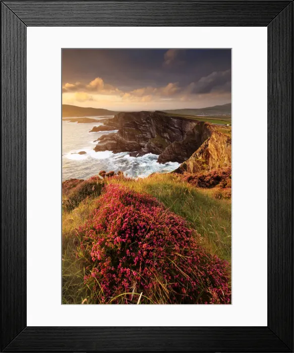 Framed Print : Europe, Spectacular Kerry cliffs at sunset along the Ring of Kerry Framed Print : Europe, Spectacular Kerry cliffs at sunset along the Ring of Kerry