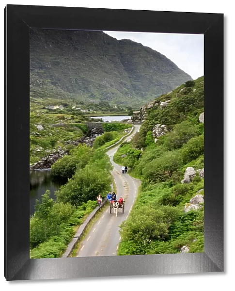 Europe, Ireland, ring of Kerry, tourists on traditional pony and trap visiting the