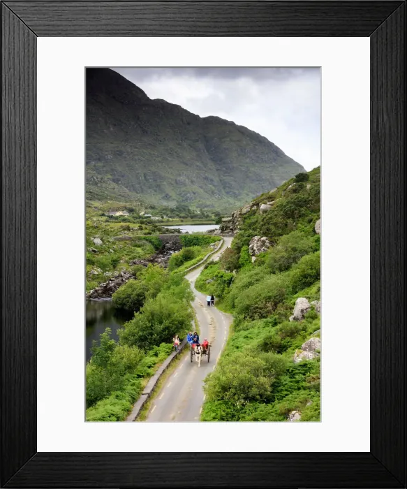 Framed Print : Europe, Ireland, ring of Kerry, tourists on traditional pony and trap visiting Framed Print : Europe, Ireland, ring of Kerry, tourists on traditional pony and trap visiting
