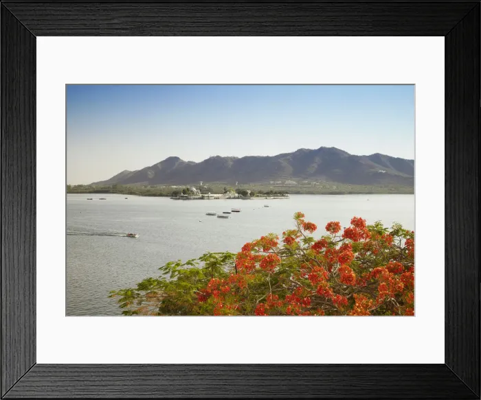 Framed Print : View across Lake Pichola to Jagmandir Island, Udaipur, Rajasthan, India Framed Print : View across Lake Pichola to Jagmandir Island, Udaipur, Rajasthan, India