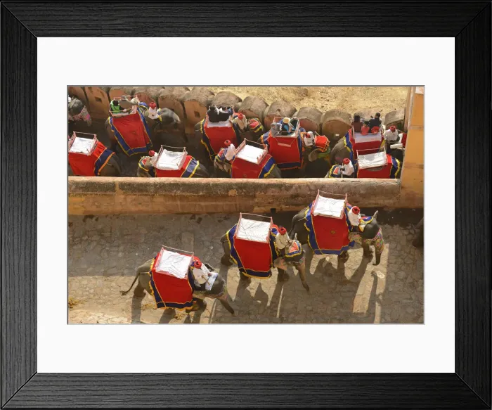 Framed Print : Elephants at the Amber Fort in the city of Jaipur, Rajasthan, India Framed Print : Elephants at the Amber Fort in the city of Jaipur, Rajasthan, India