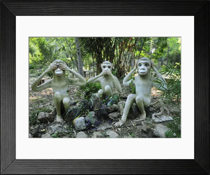 Framed Print : Bodhgaya. India Framed Print : Bodhgaya. India