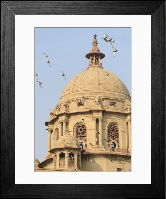Framed Print : Parliament of india, New Delhi, National Capital Territory, India Framed Print : Parliament of india, New Delhi, National Capital Territory, India