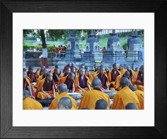Framed Print : Tibetan monks in Bodhgaya, praying under the sacred Buddha banyan tree