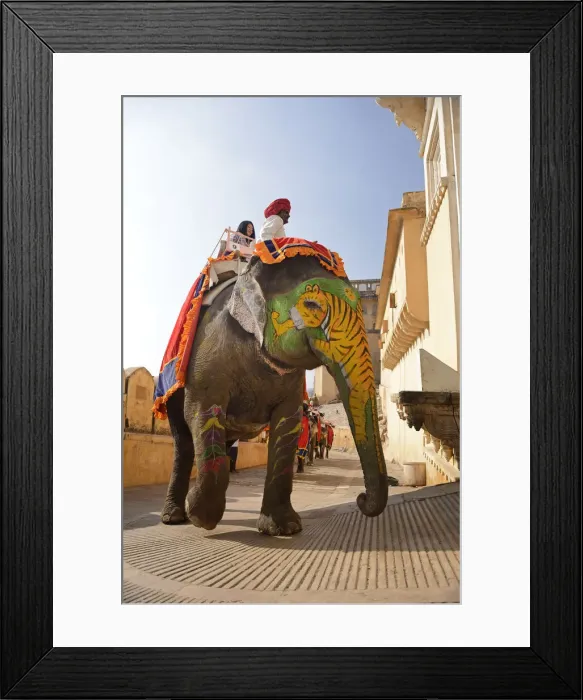 Framed Print : Elephant at the Amber Fort, city of Jaipur, Rajasthan, India