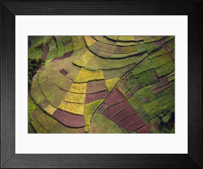 Framed Print : Rwanda. In the most densely populated country in Africa terracing is used to maximise Framed Print : Rwanda. In the most densely populated country in Africa terracing is used to maximise
