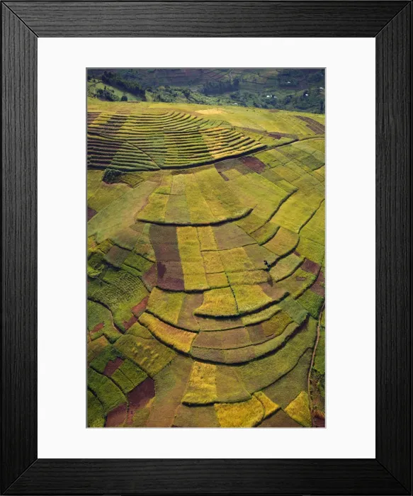 Framed Print : Rwanda. In the land of a thousand hills population density is at its highest Framed Print : Rwanda. In the land of a thousand hills population density is at its highest