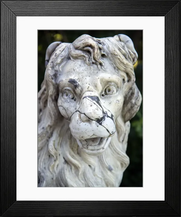 Framed Print : A lion figure in the Pavlovsk Park, Pavlovsk, near St Petersburg, Russia Framed Print : A lion figure in the Pavlovsk Park, Pavlovsk, near St Petersburg, Russia