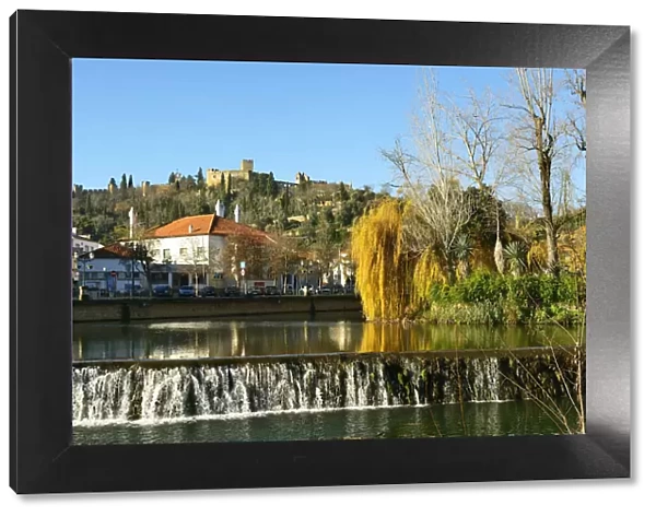A willow tree over the Nabao river and the Templar castle on the top of the hill. Tomar