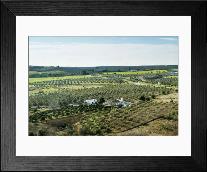Framed Print : The vast plains of Alentejo with farms and olive trees. Portugal Framed Print : The vast plains of Alentejo with farms and olive trees. Portugal