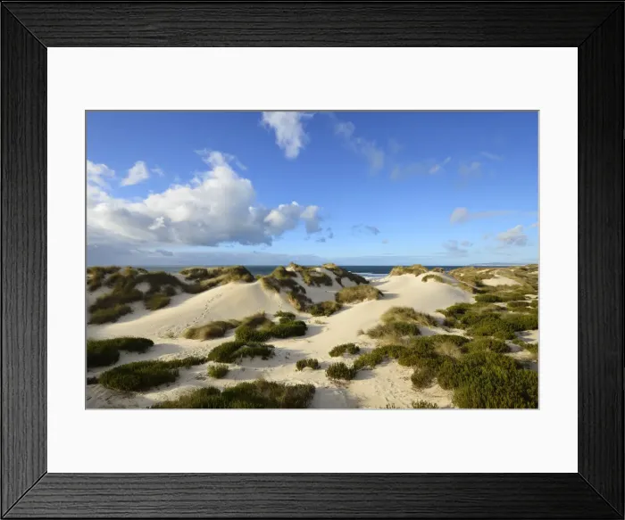 Framed Print : Osso da Baleia beach dunes. Figueira da Foz, Portugal Framed Print : Osso da Baleia beach dunes. Figueira da Foz, Portugal