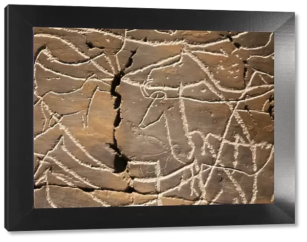 Reproduction of Coa river Valley rock art at the Coa Valley Art and Archaeology Museum
