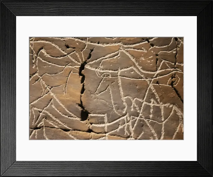 Framed Print : Reproduction of Coa river Valley rock art at the Coa Valley Art and Archaeology Museum Framed Print : Reproduction of Coa river Valley rock art at the Coa Valley Art and Archaeology Museum