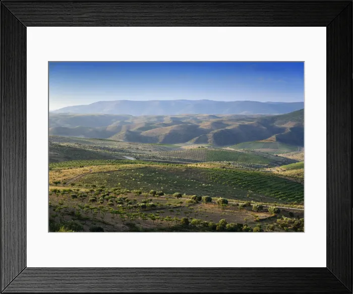 Framed Print : Coa Valley Archaeological Park, a Prehistoric Rock Art Site. A UNESCO World Heritage Site Framed Print : Coa Valley Archaeological Park, a Prehistoric Rock Art Site. A UNESCO World Heritage Site